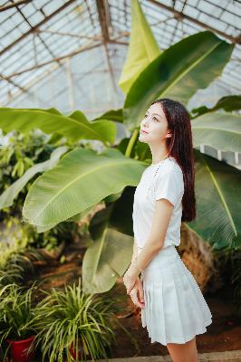 藏海传在线观看